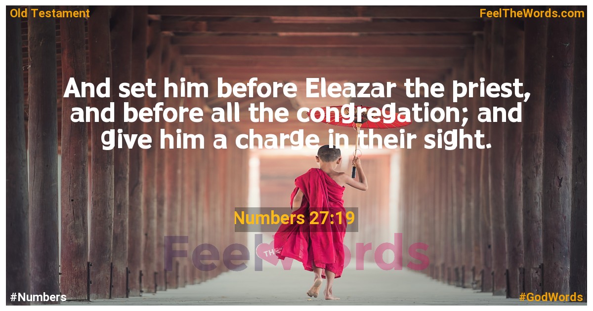 Numbers 27:19