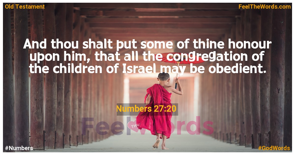 Numbers 27:20