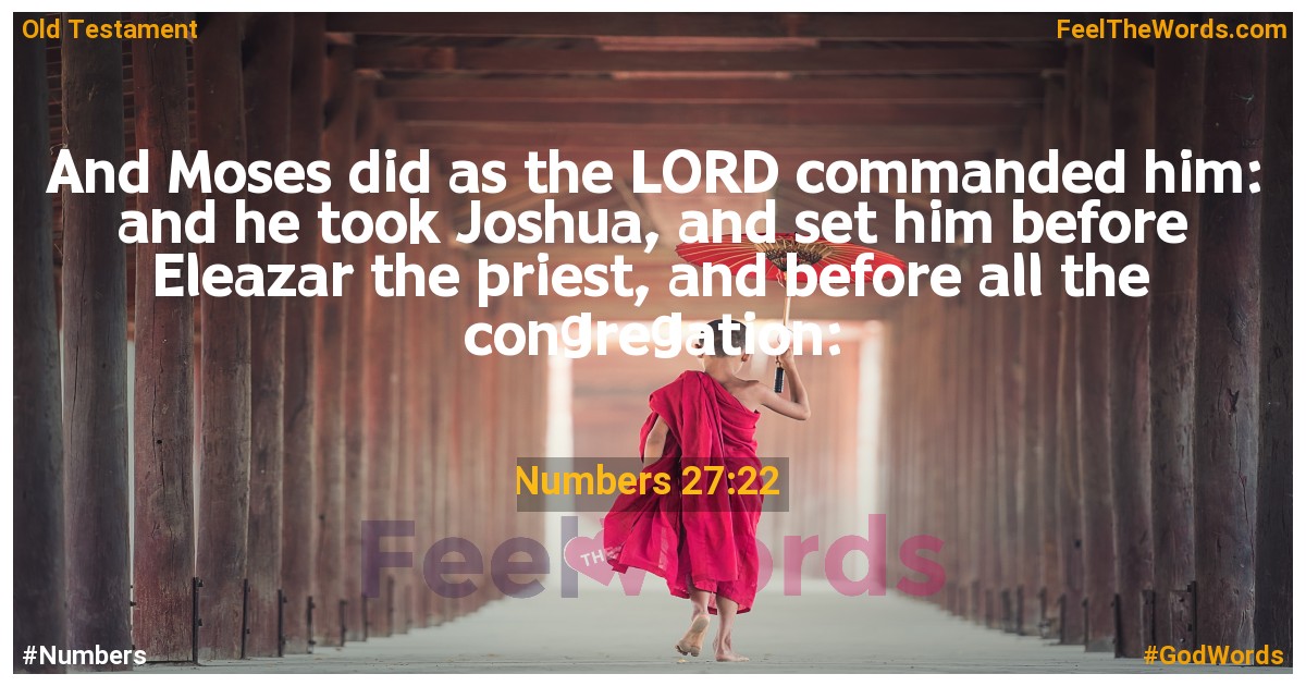 Numbers 27:22