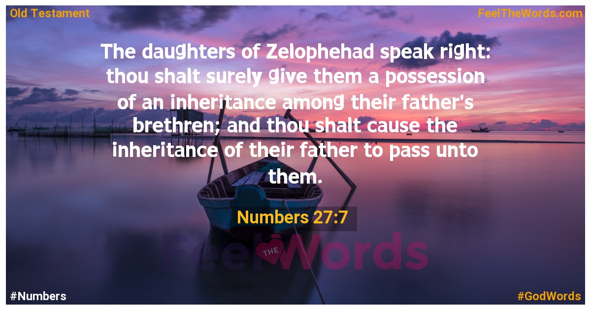 Numbers 27:7