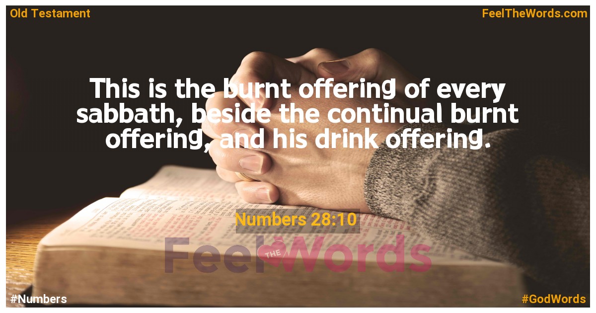 Numbers 28:10
