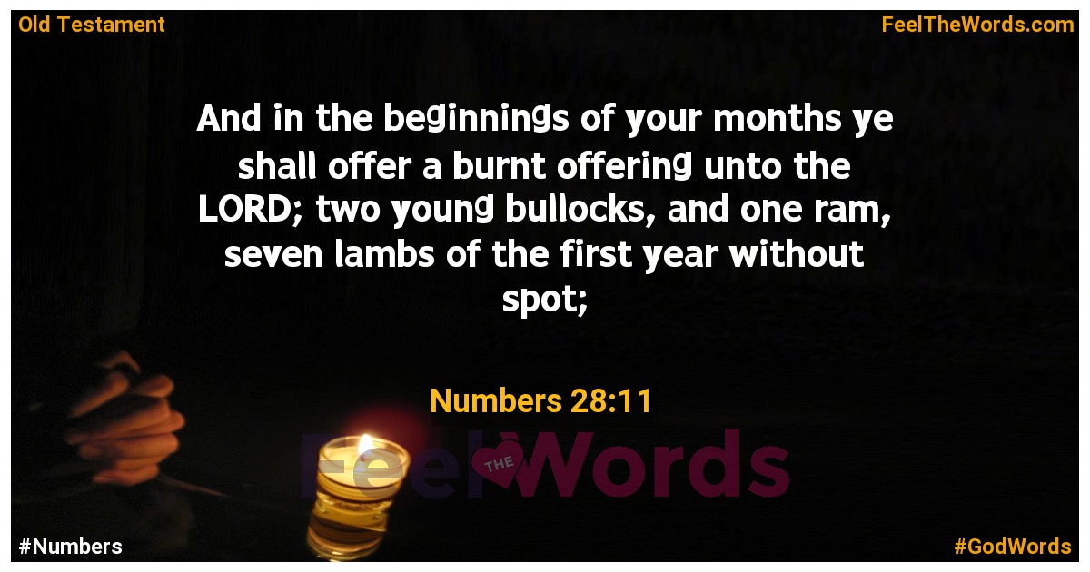 Numbers 28:11