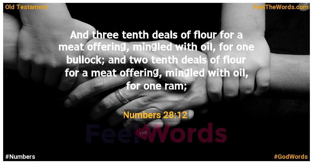 Numbers 28:12