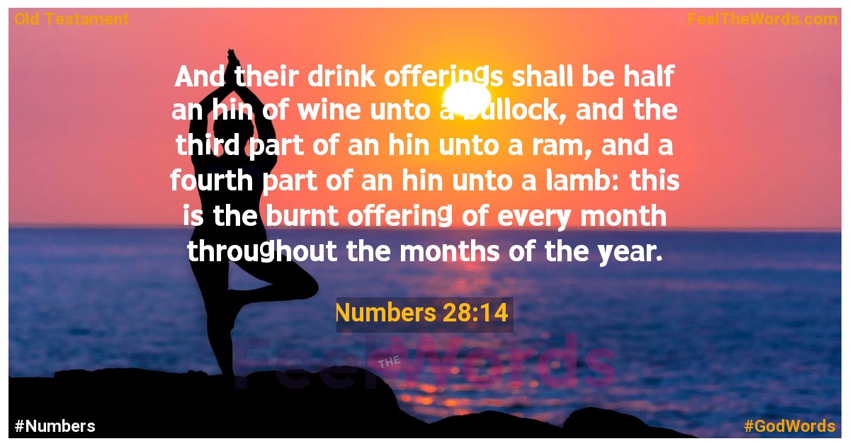 Numbers 28:14