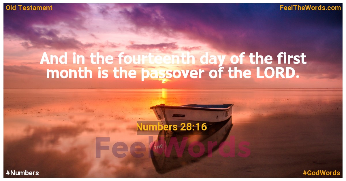 Numbers 28:16