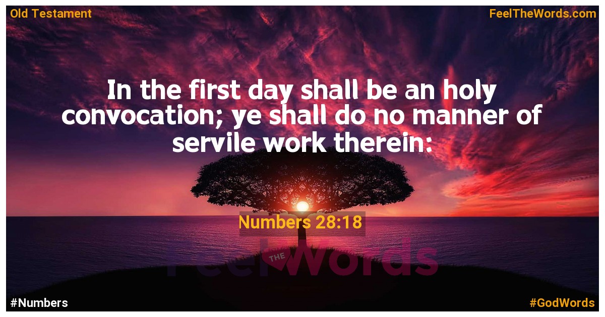 Numbers 28:18