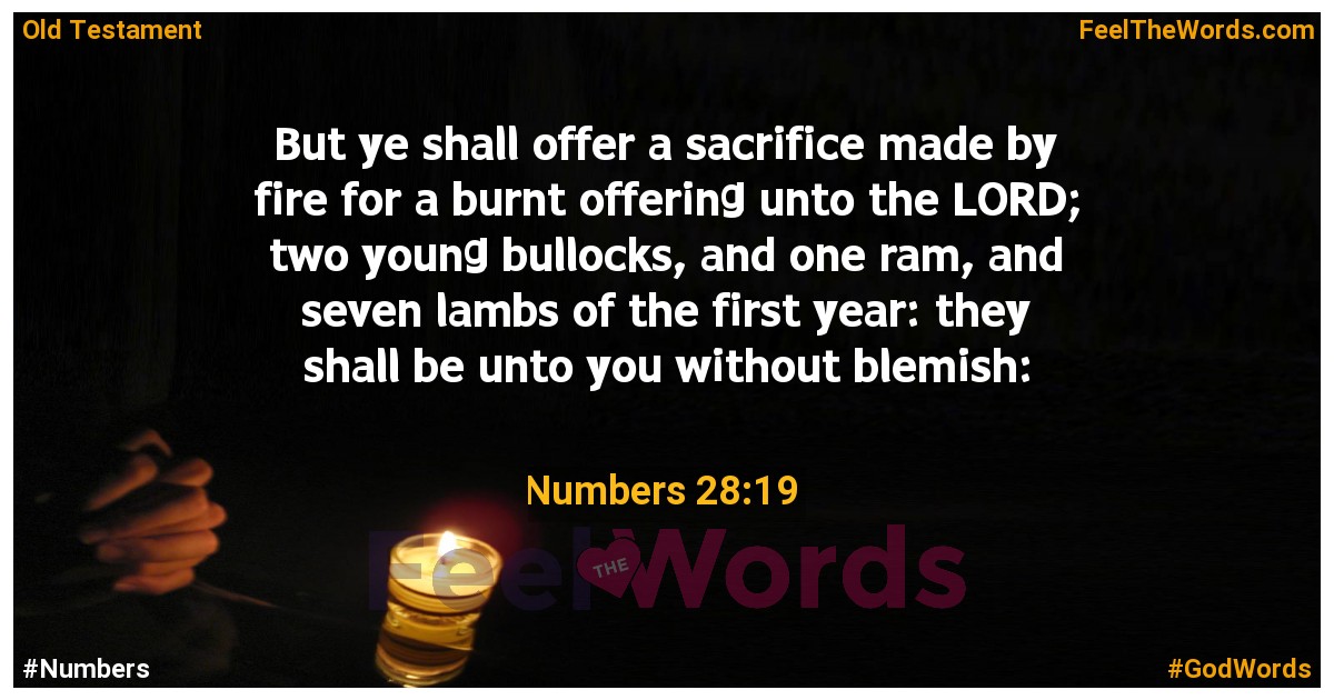 Numbers 28:19