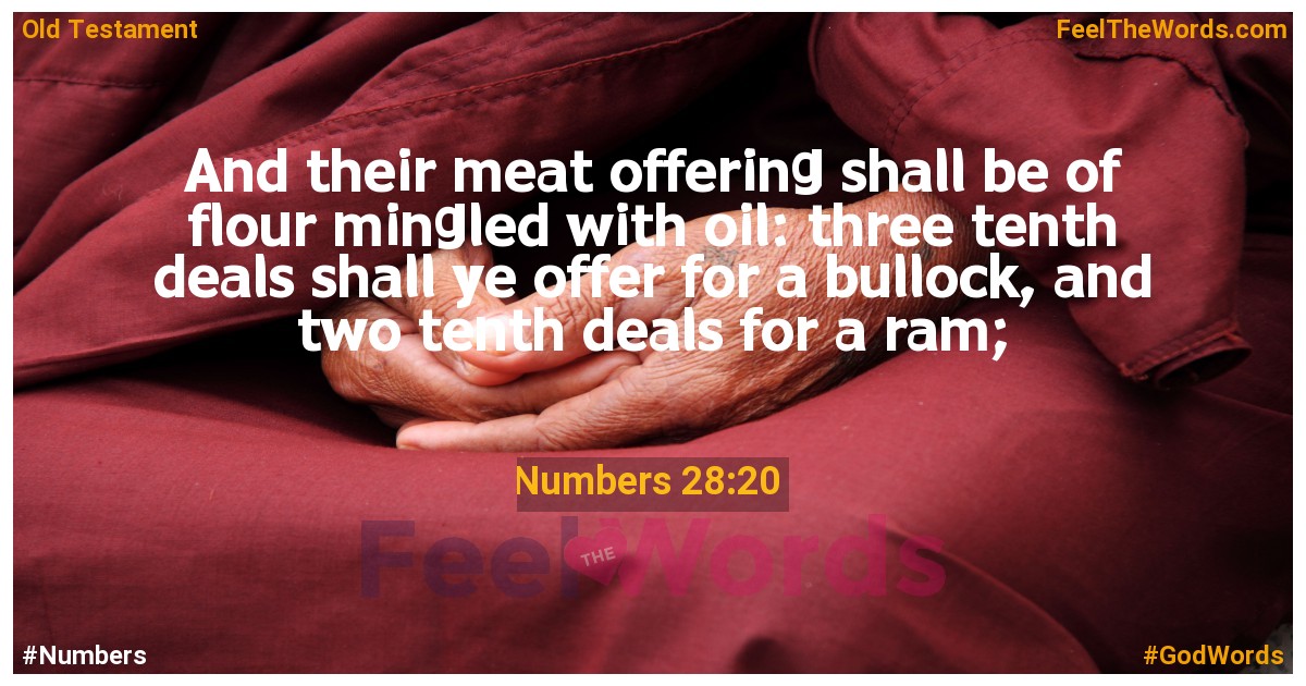 Numbers 28:20