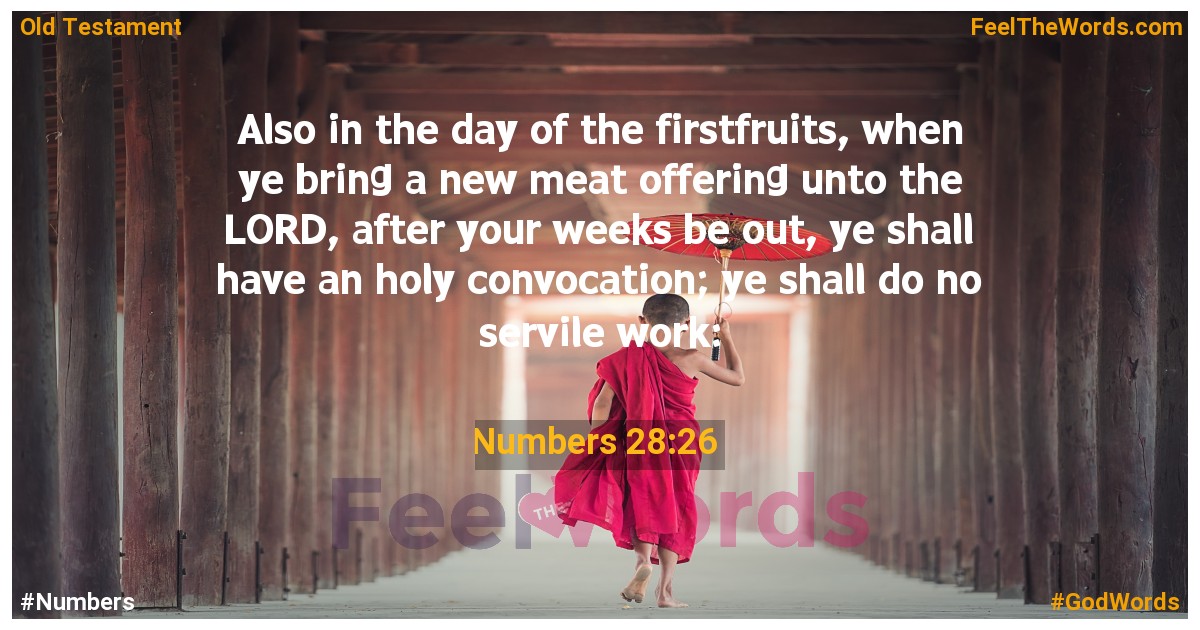 Numbers 28:26
