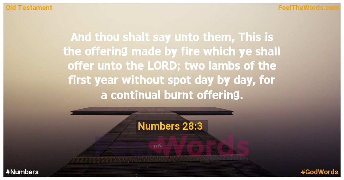 Numbers 28:3