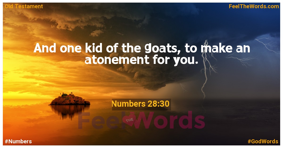 Numbers 28:30
