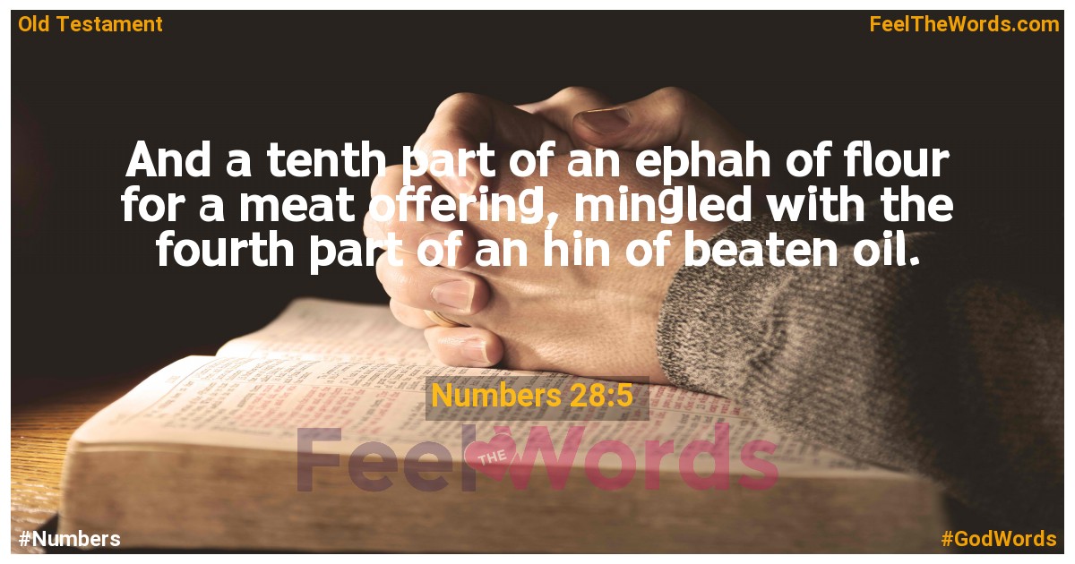 Numbers 28:5