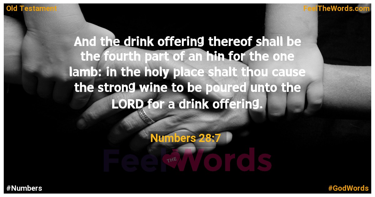 Numbers 28:7