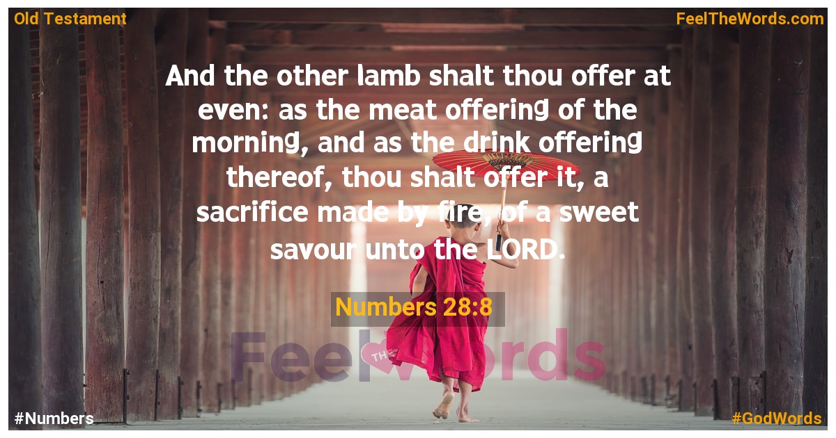Numbers 28:8