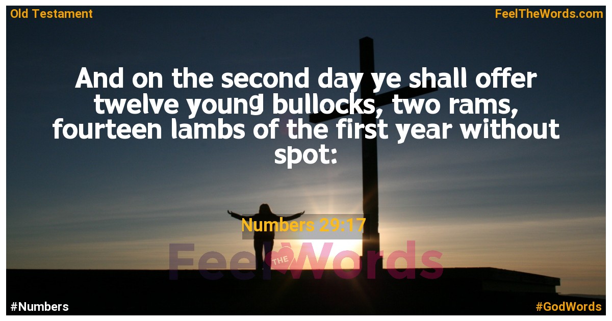 Numbers 29:17