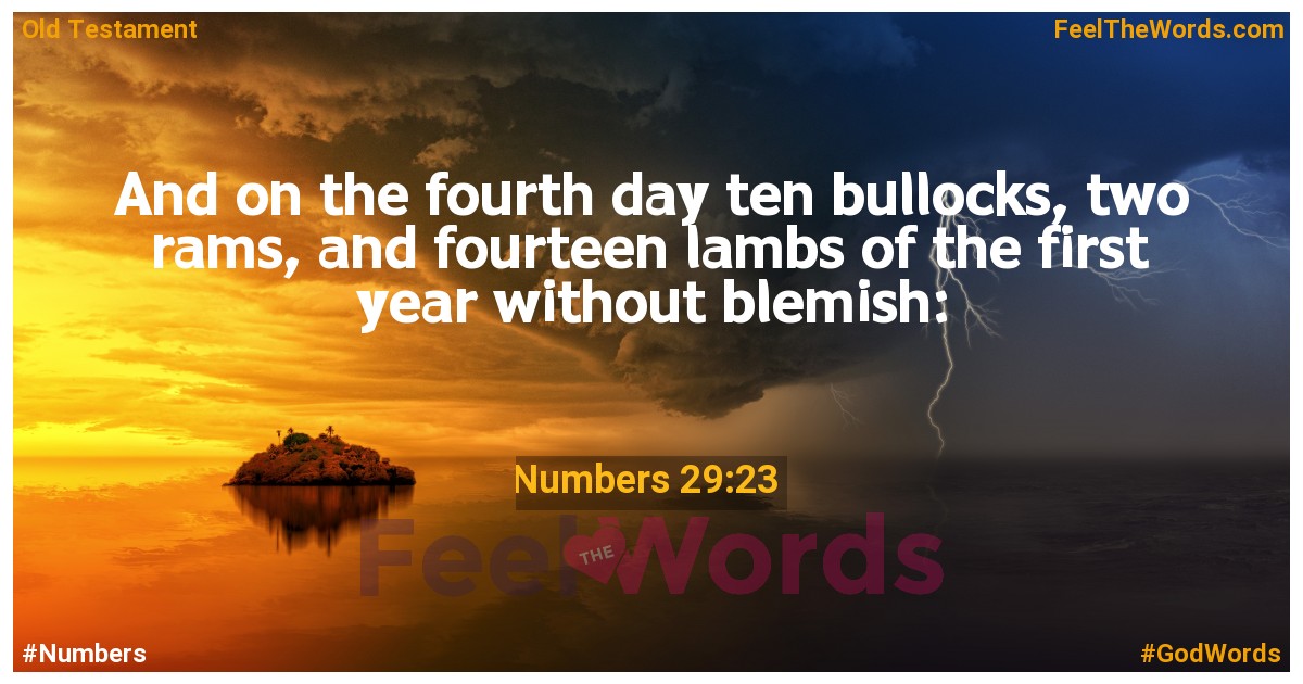 Numbers 29:23