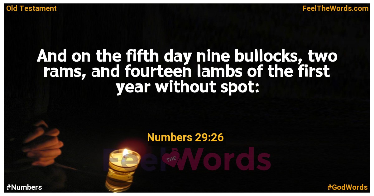 Numbers 29:26