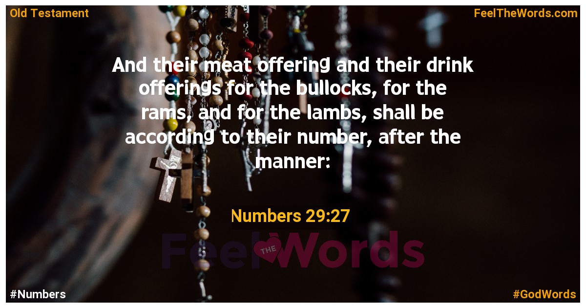 Numbers 29:27