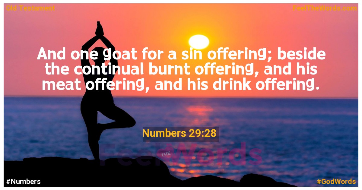 Numbers 29:28