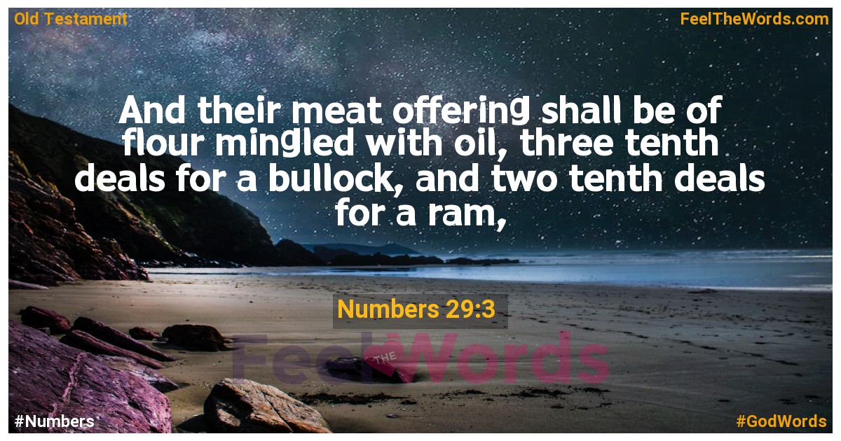 Numbers 29:3