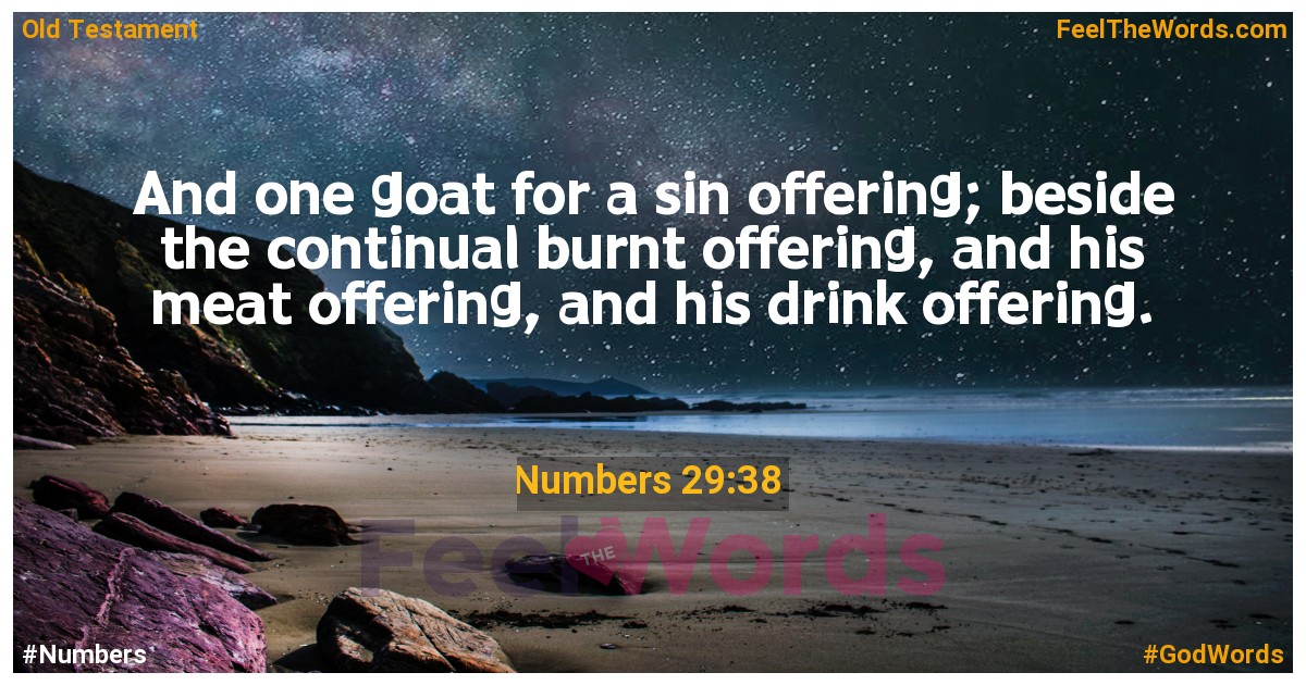 Numbers 29:38