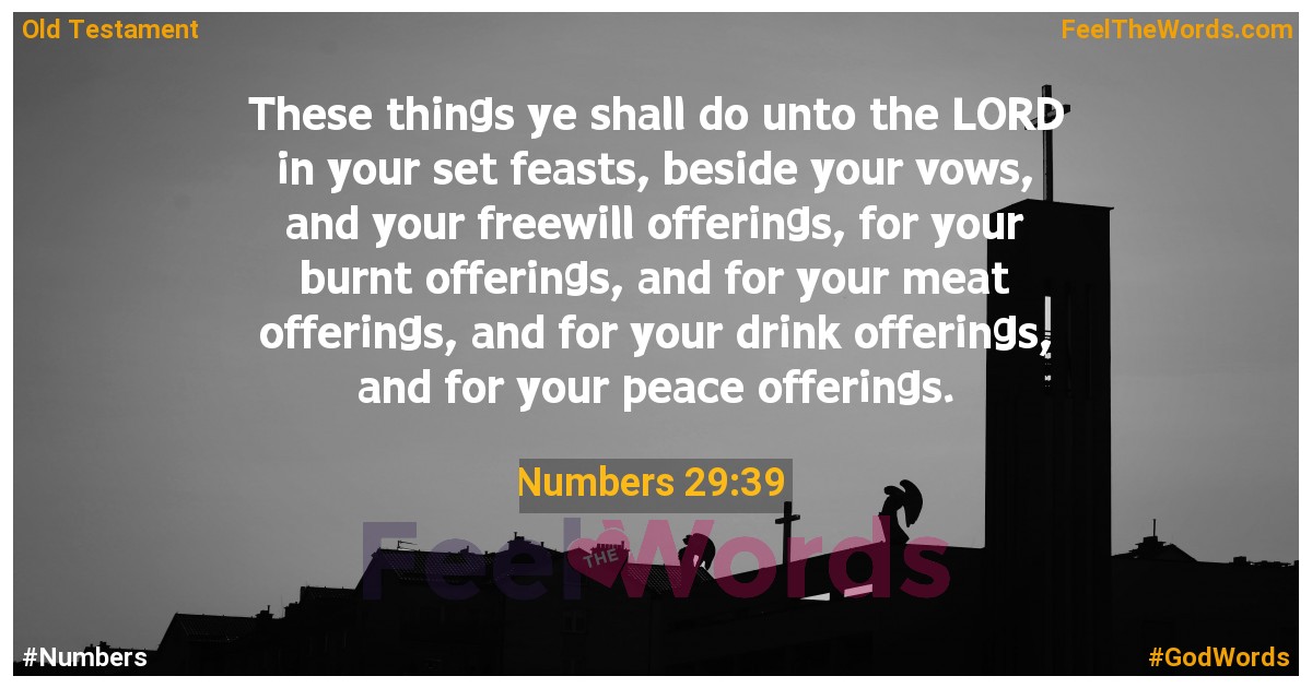 Numbers 29:39