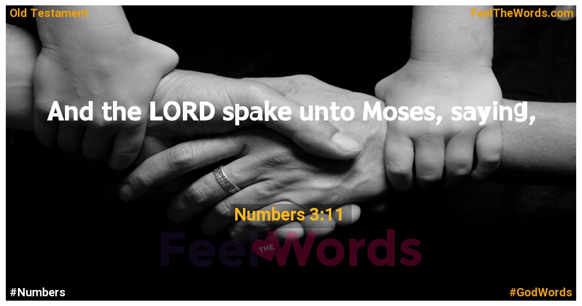Numbers 3:11