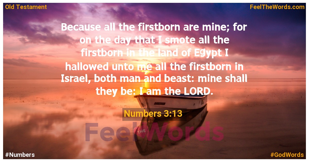 Numbers 3:13