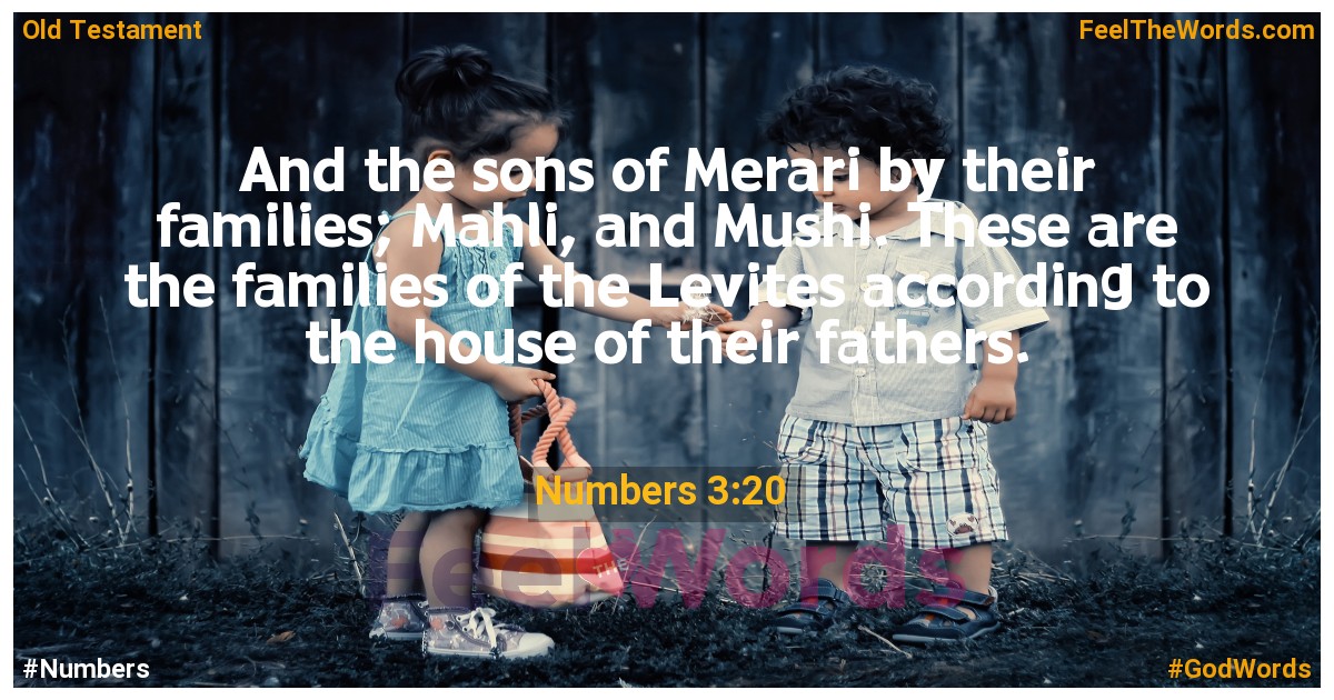 Numbers 3:20