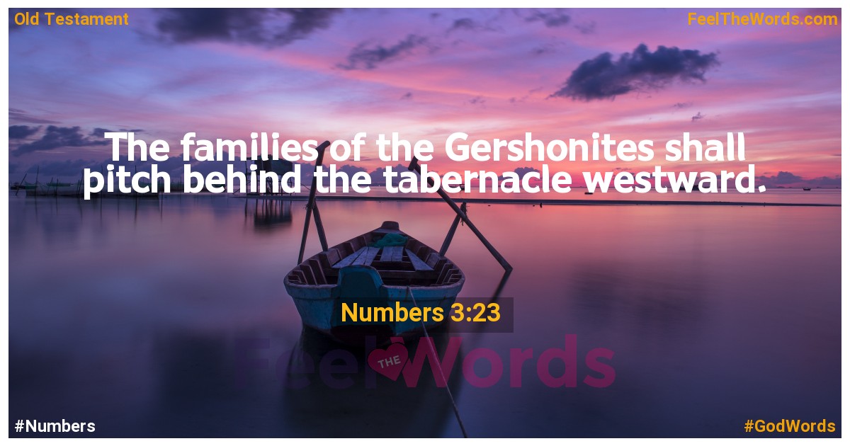 Numbers 3:23