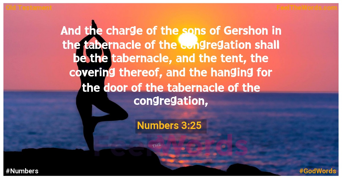 Numbers 3:25