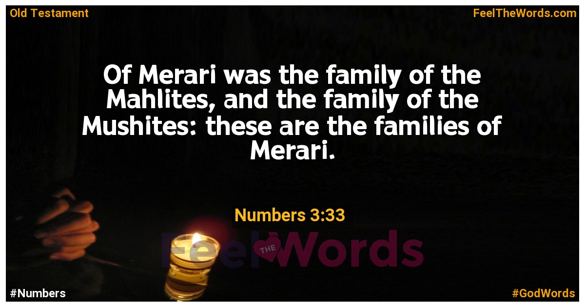 Numbers 3:33