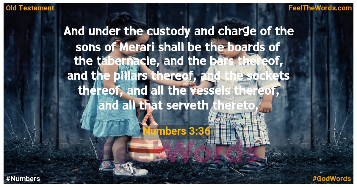 Numbers 3:36
