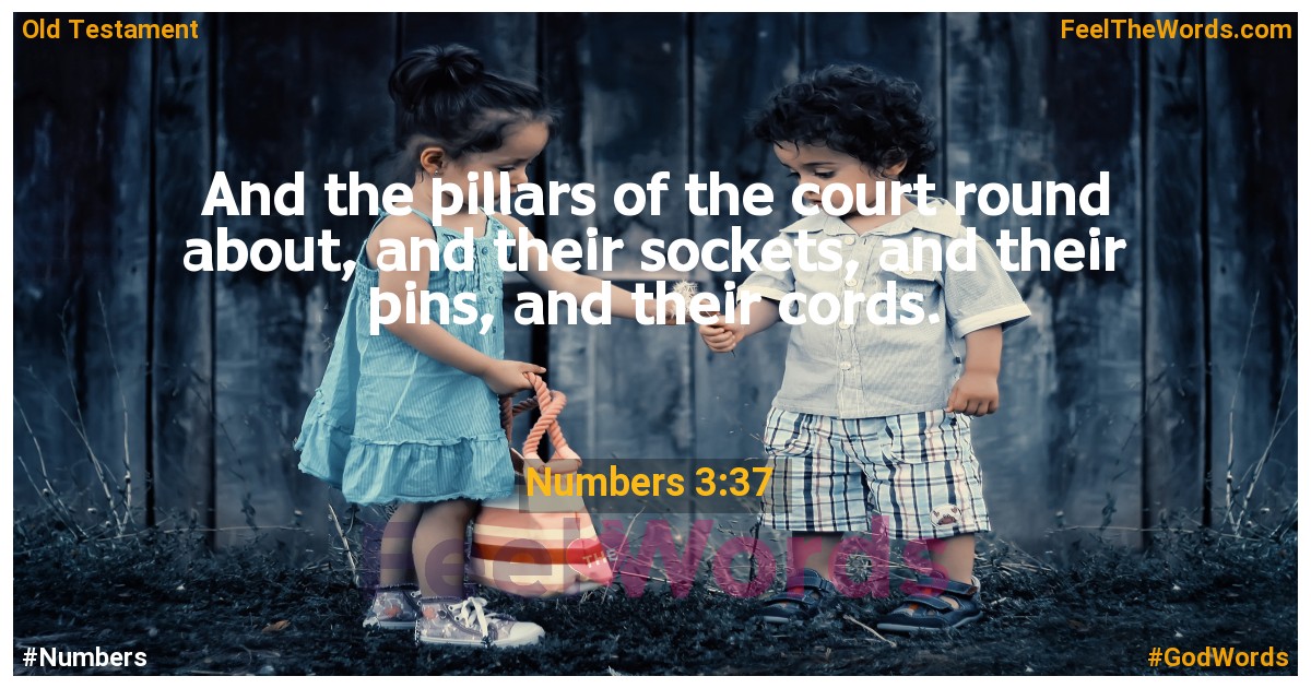Numbers 3:37