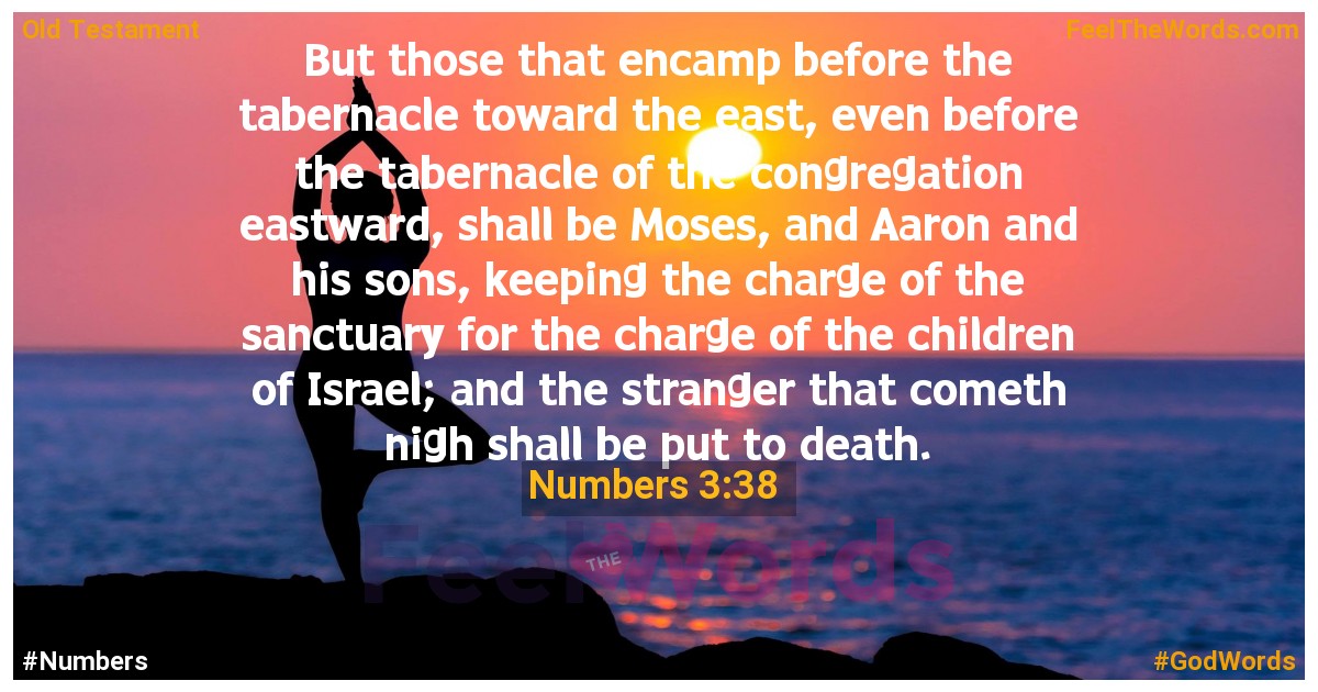 Numbers 3:38