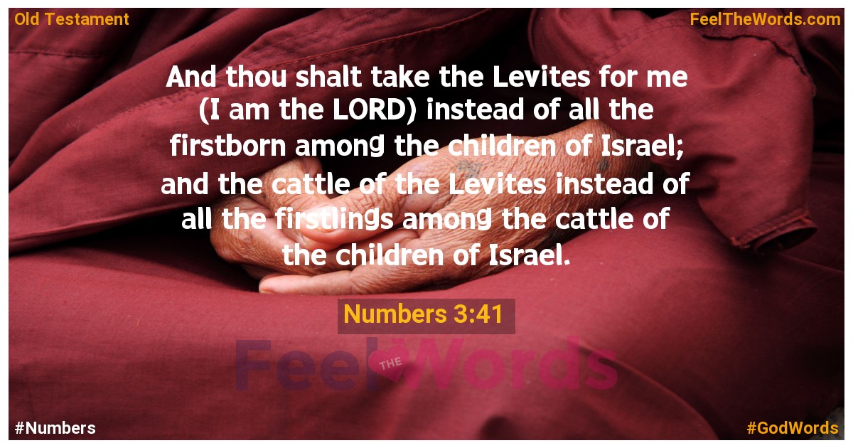 Numbers 3:41