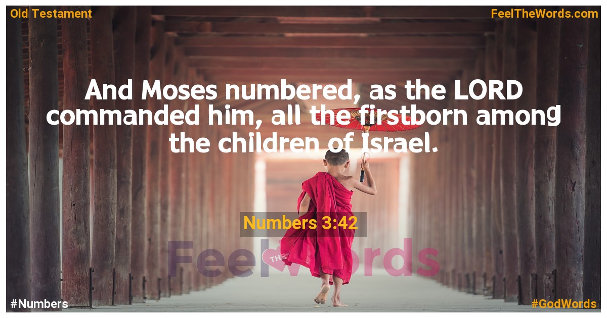 Numbers 3:42