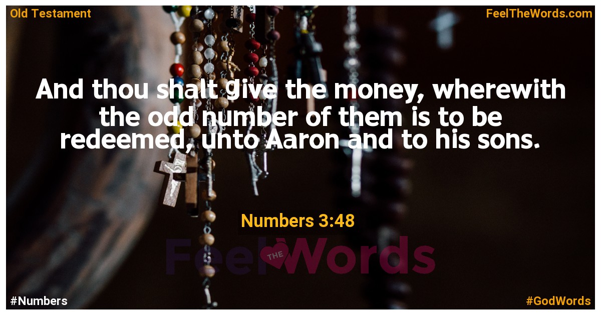 Numbers 3:48