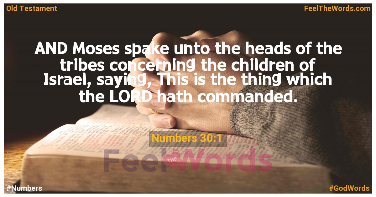 Numbers 30:1