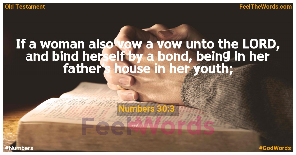 Numbers 30:3