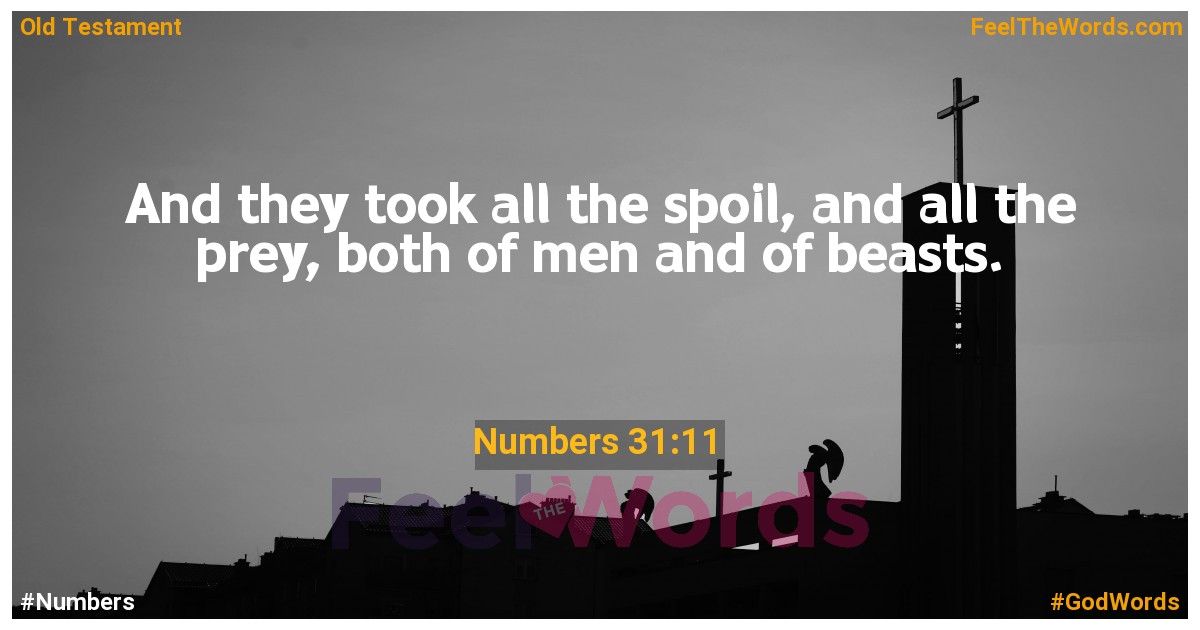 Numbers 31:11
