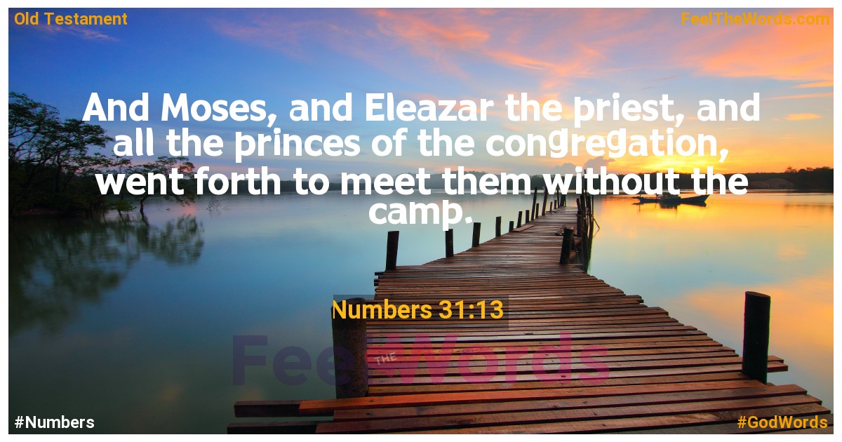 Numbers 31:13