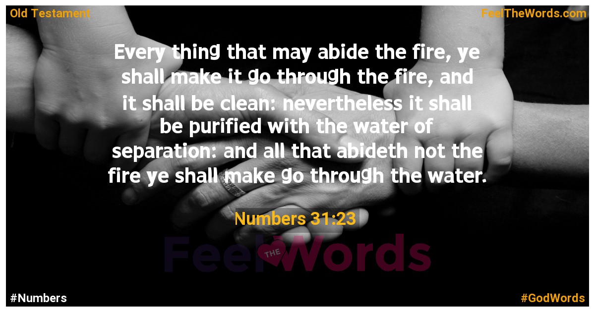 Numbers 31:23