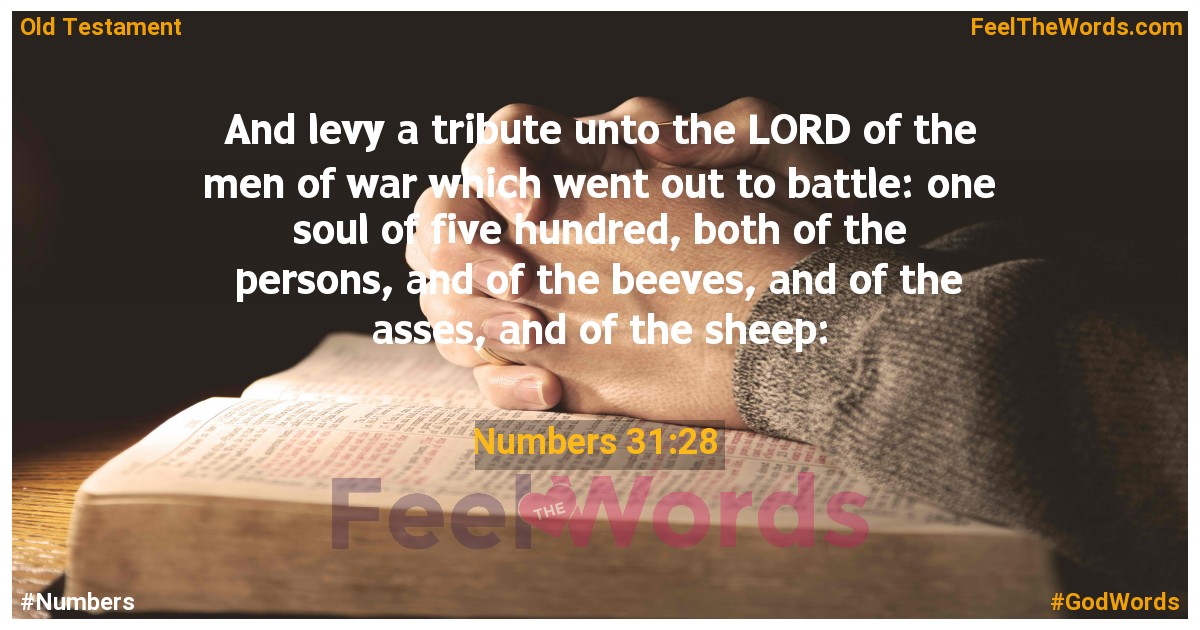 Numbers 31:28