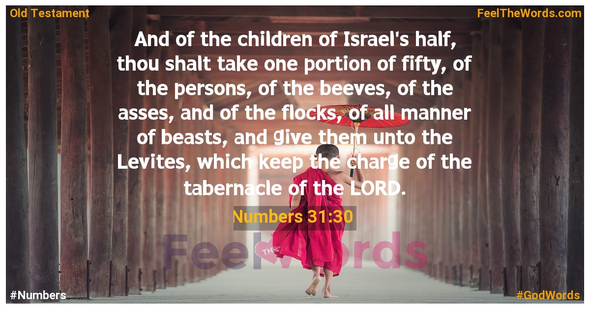 Numbers 31:30