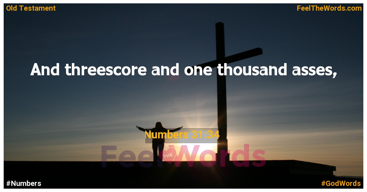 Numbers 31:34