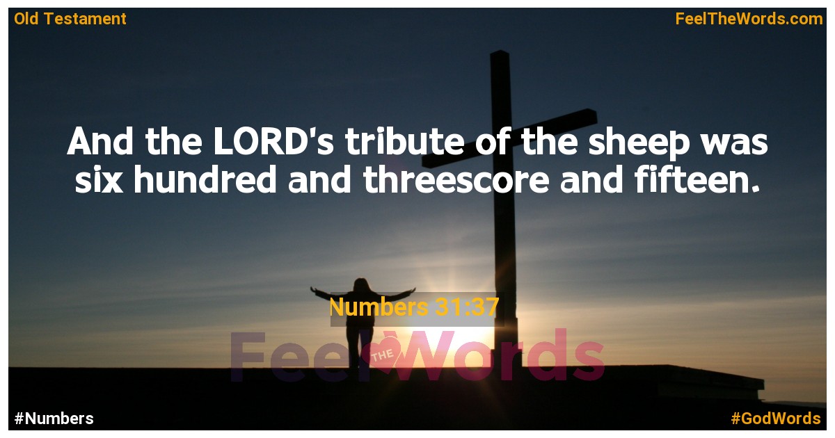 Numbers 31:37