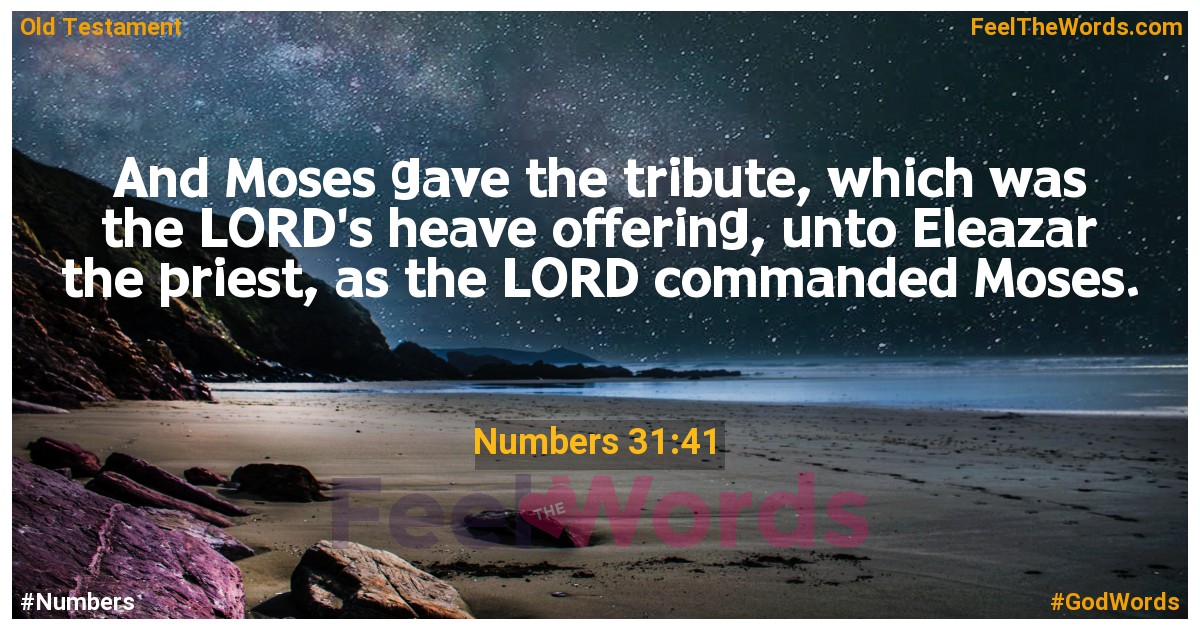 Numbers 31:41