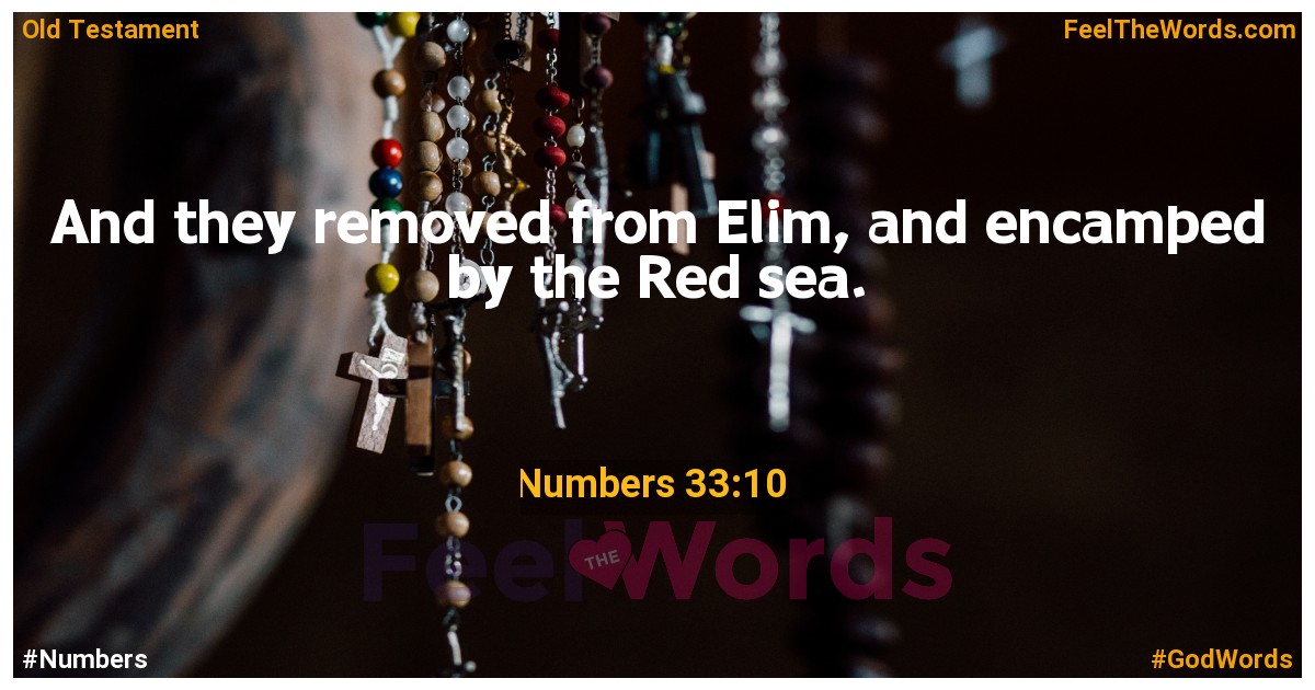 Numbers 33:10