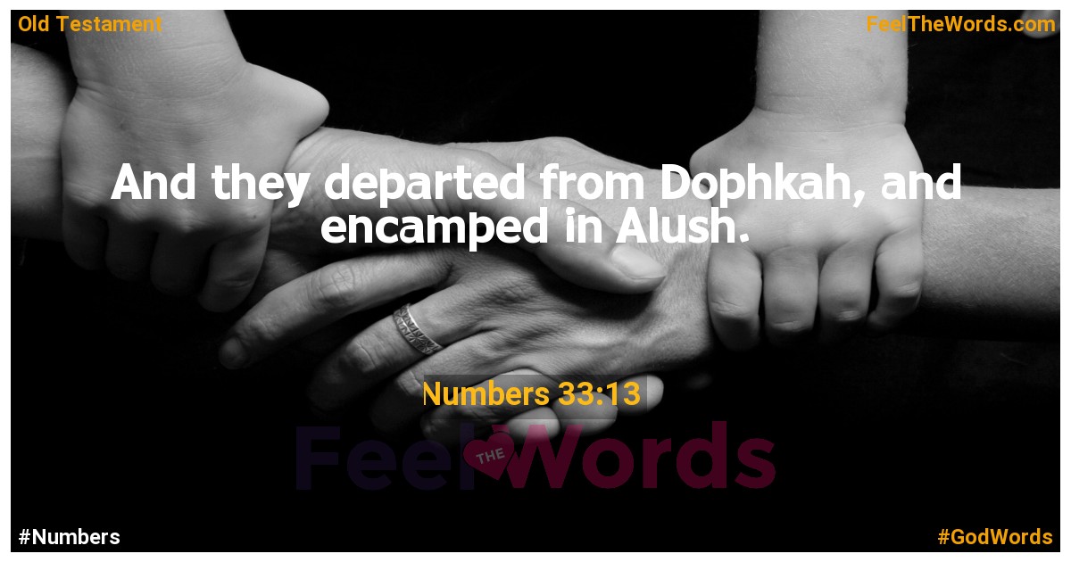 Numbers 33:13